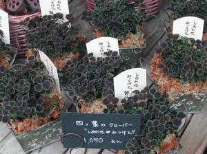 小さな幸せも・・・｜「ジョイフロリスト」　（神奈川県横浜市青葉区の花キューピット加盟店 花屋）のブログ