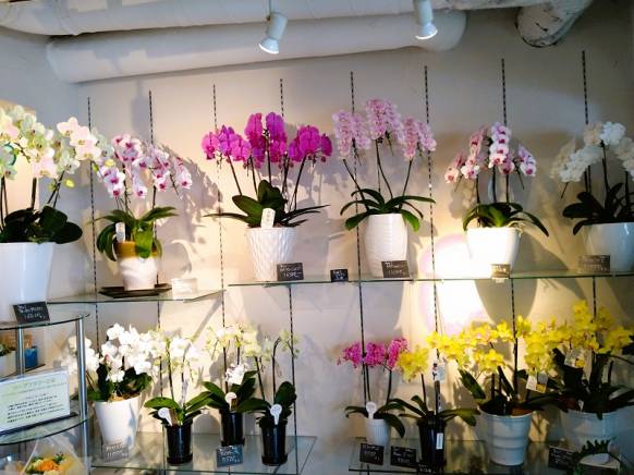 神奈川県横浜市青葉区の花屋 ジョイフロリストにフラワーギフトはお任せください 当店は 安心と信頼の花キューピット加盟店です 花キューピットタウン